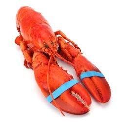 华东站：北美大龙虾450g 折49.5元 （99元 ，满 200 -100 后）