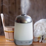 Green Air Spa Vapor 声波蒸汽加湿机