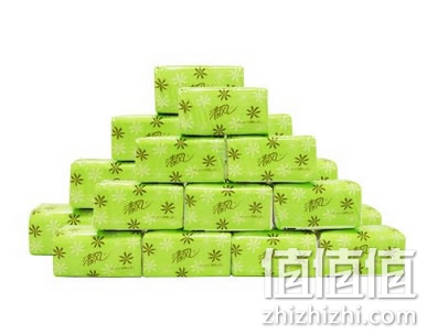 清风 淡绿花2层迷你型抽纸
