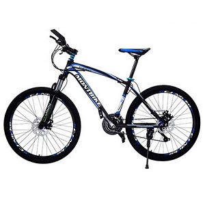速度与激情的结合 Montbike 山地自行车 299元