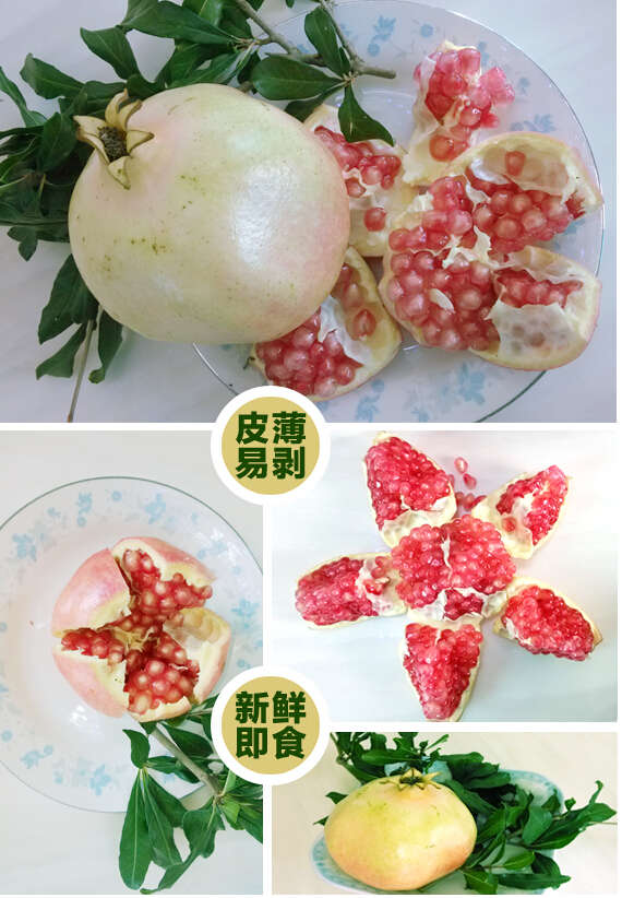 原产地现摘现发：探味君 云南蒙自甜石榴5斤（约8~10果） 39元 包邮