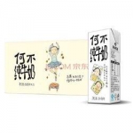 新希望 何不纯牛奶 250ml*21盒/箱