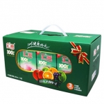 汇源 100%桃汁精品礼盒 200ml*12