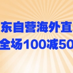 京东商城：海外直采