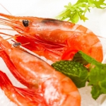 獐子岛 俄罗斯甜虾刺身1kg