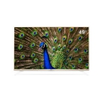 再降价：LG 49UF6300-CD 49英寸4K超清IPS电视