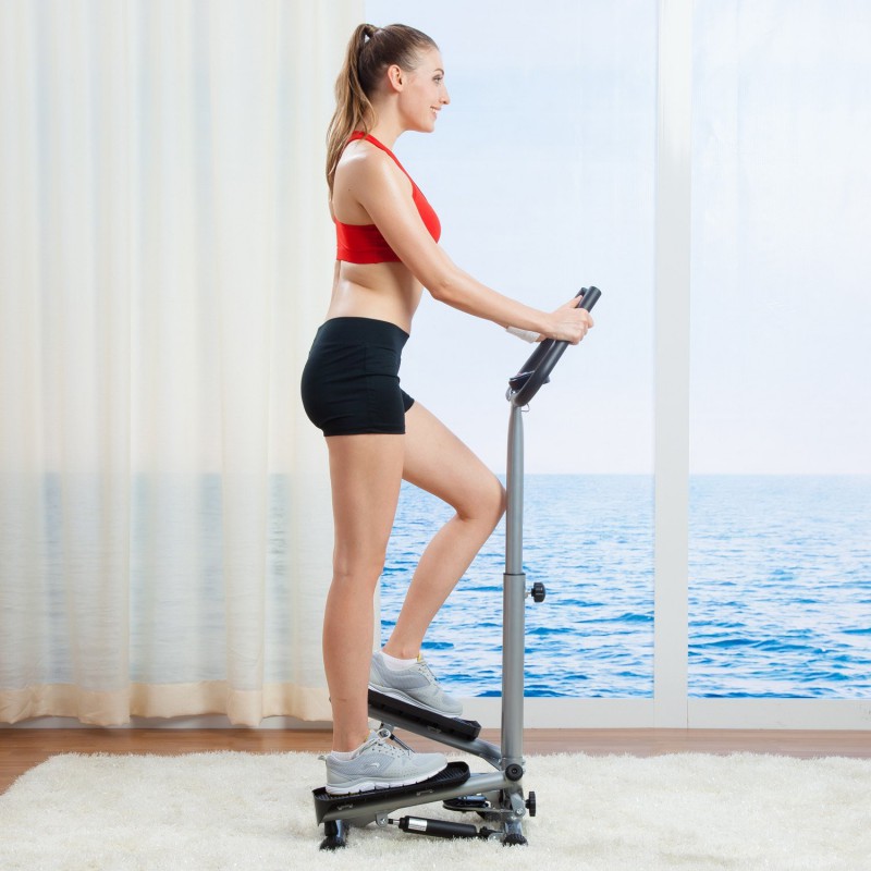 美国 SUNNY HEALTH&#038;FITNESS 豪华扶手扭腰踏步机 599元 包邮