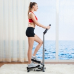 SUNNY HEALTH&FITNESS 豪华扶手扭腰踏步机
