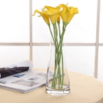 Bing Yi 透明玻璃水培花瓶