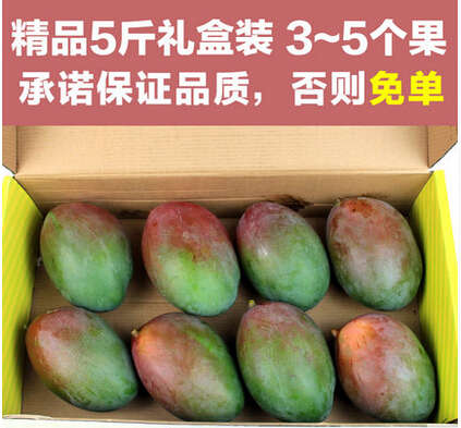 产地现摘现发：探味君 四川攀枝花大芒果 5斤礼盒装 34.9元 包邮