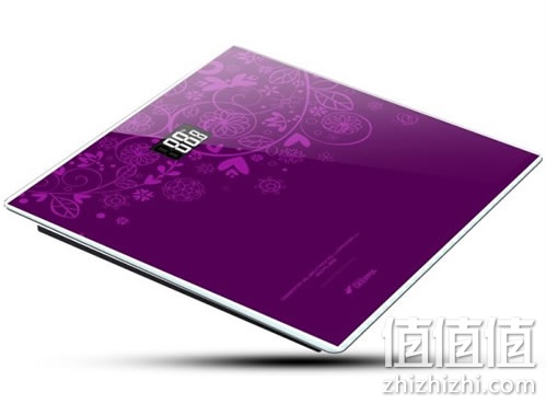 德尔玛 EV15 电子体重秤