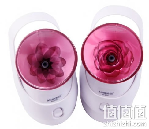 金稻 KD2331 离子蒸汽美容器