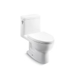 KOHLER 科勒 K-3856T-S 瑞琦4.2升“五级旋风绿能”连体座便器