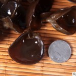 双枒子 黑木耳东北野生特产级100g