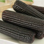 富玉 一级黑糯玉米 真空包装 160g*8根
