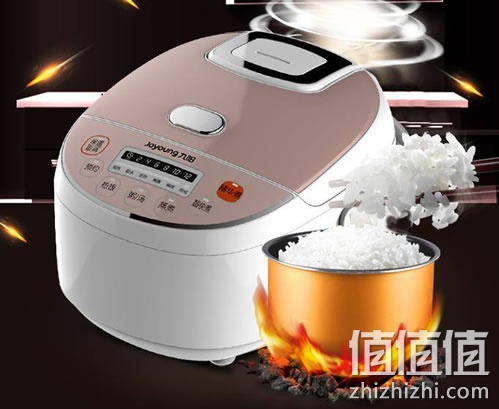 九阳 JYF-30FE08 电饭煲