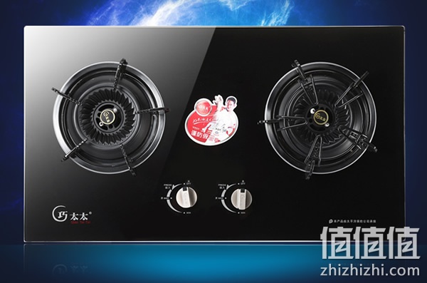 zhizhizhi_com_786204-1