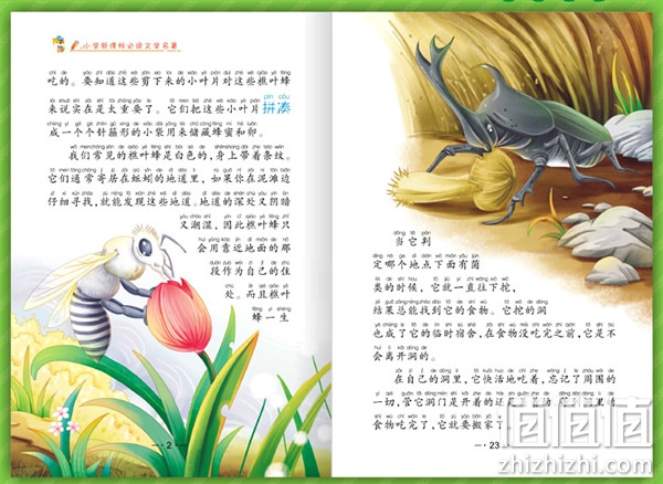 zhizhizhi_com_786205-1