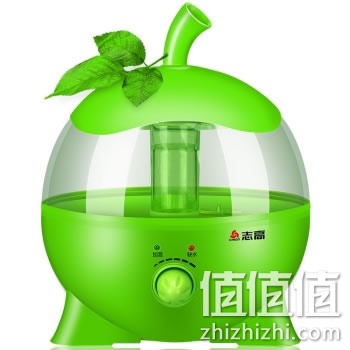 zhizhizhi_com_787510