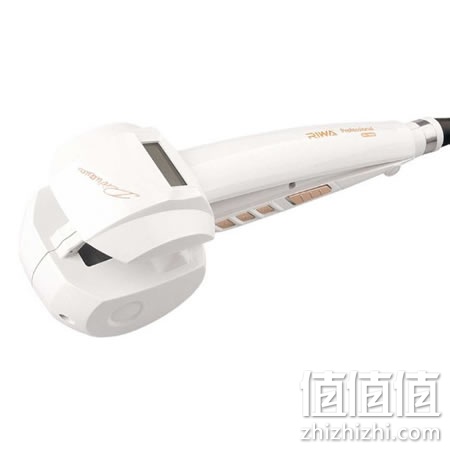 zhizhizhi_com_787625