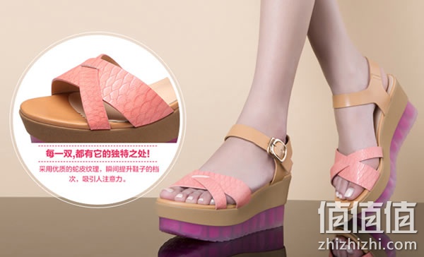 zhizhizhi_com_788270-1
