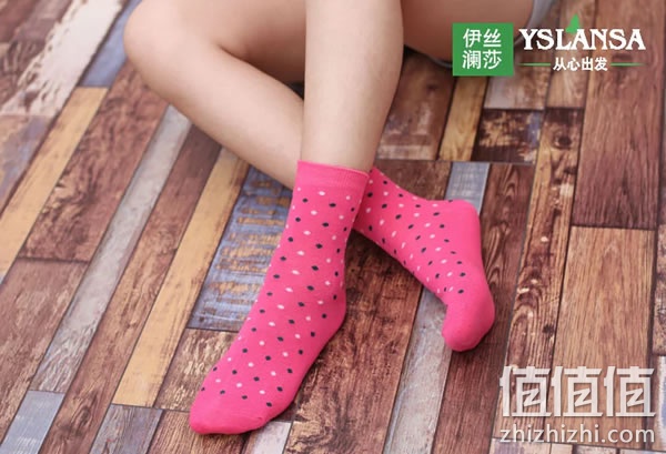 zhizhizhi_com_795668-1