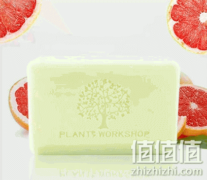 zhizhizhi_com_802444-1