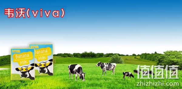 zhizhizhi_com_803557-1