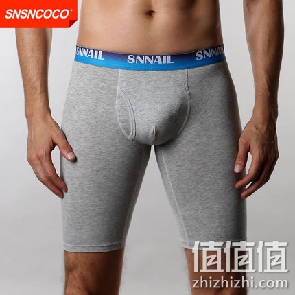 zhizhizhi_com_805309