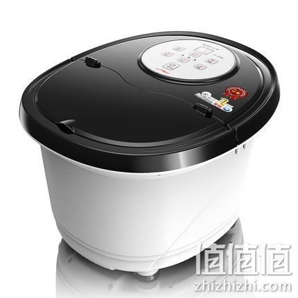 zhizhizhi_com_811355