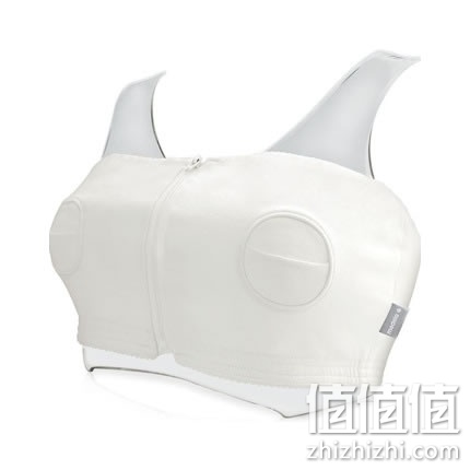 zhizhizhi_com_812705