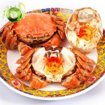 阳澄湖翡翠 大闸蟹 鲜活母螃蟹 2.3~2.6两 4只现货