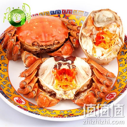zhizhizhi_com_817534