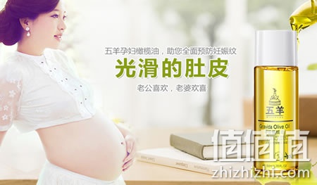 zhizhizhi_com_836349_1