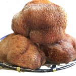 北品 东北猴头菇干货250g