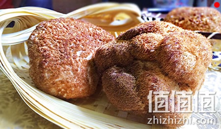 zhizhizhi_com_845948_1