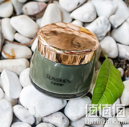 zhizhizhi_com_845950_1