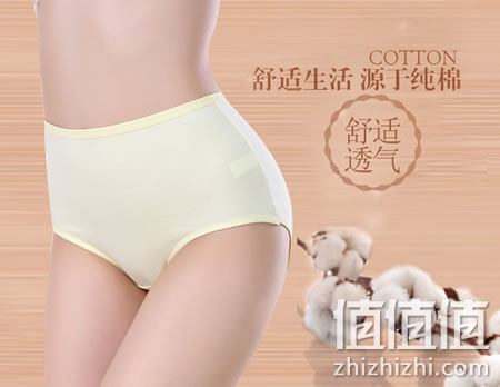 zhizhizhi_com_848049_1