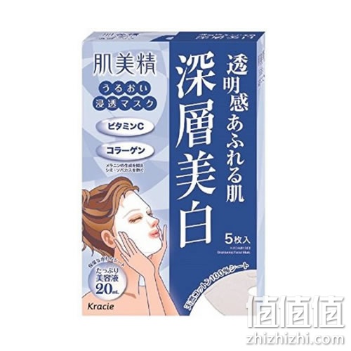 zhizhizhi_com_848183