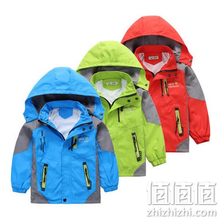 zhizhizhi_com_848208