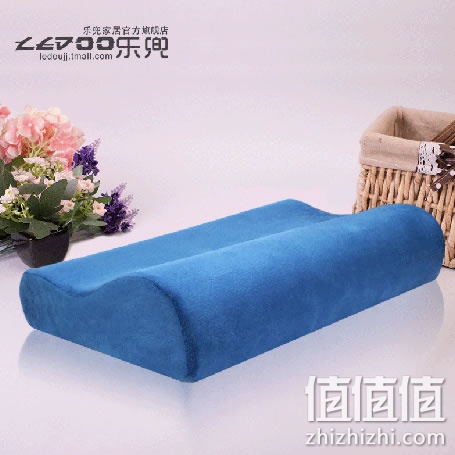 zhizhizhi_com_848210