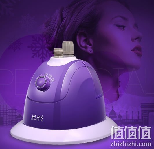 贝尔莱德 GS63-BJ 蒸汽挂烫机
