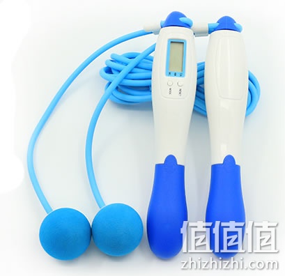 zhizhizhi_com_856230_1