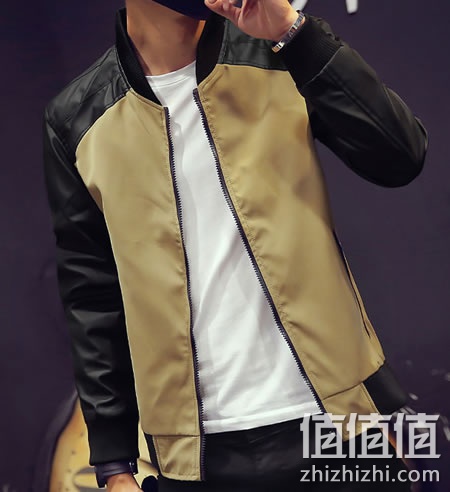 zhizhizhi_com_858028_1