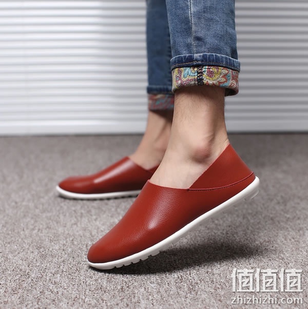 zhizhizhi_com_862392-1