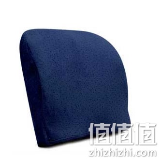 zhizhizhi_com_864101