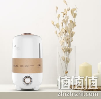 德尔玛（Deerma）DEM-F450 4.0L 加湿器