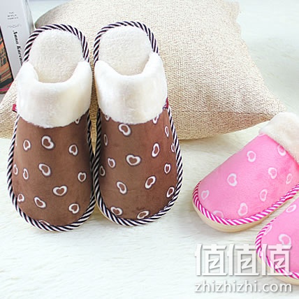 zhizhizhi_com_868663