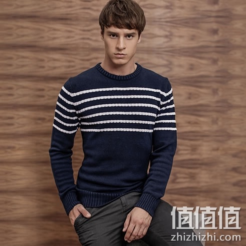 zhizhizhi_com_870725