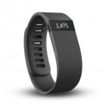 Fitbit Charge 智能手环 大号